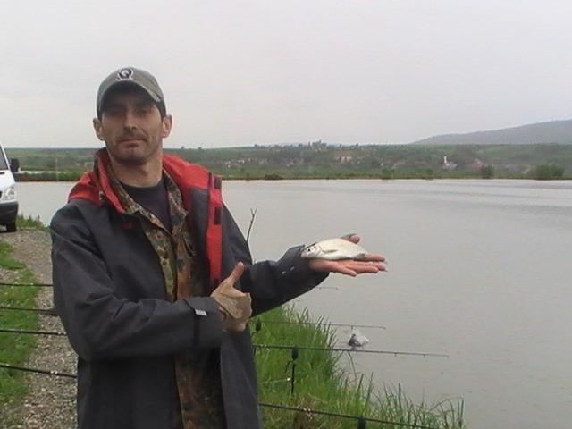 pe la balti - plat.jpg